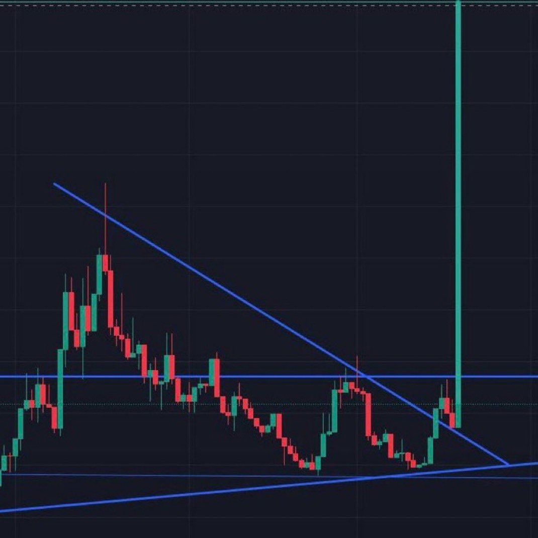 Crypto Fergani tweet media