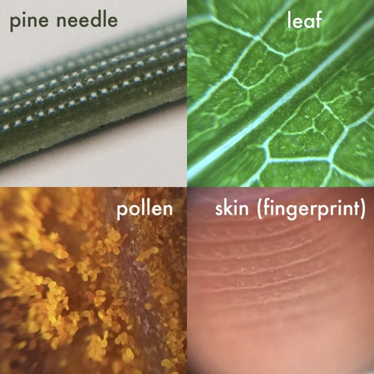 Microscopes Workshop tweet media