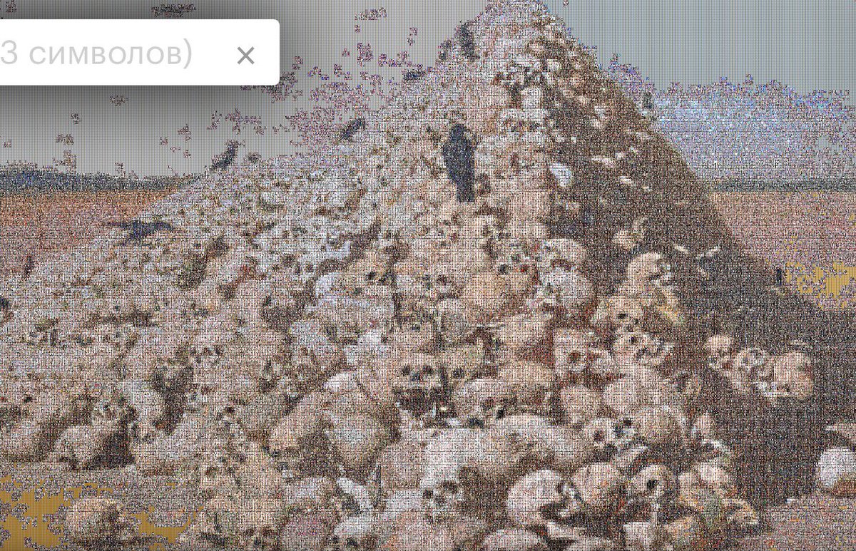 Вы поняли, да? tweet media