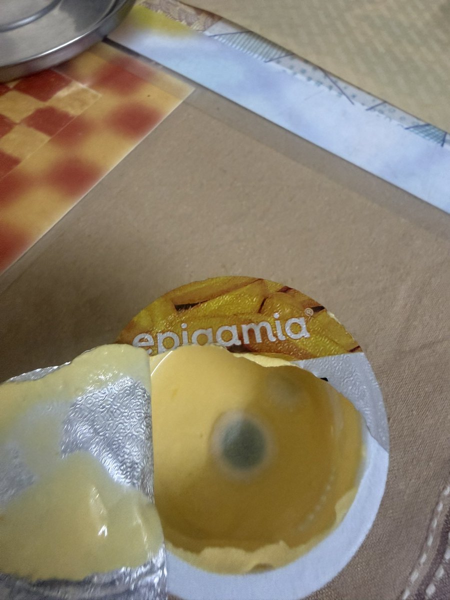 LallanaDelRay tweet media