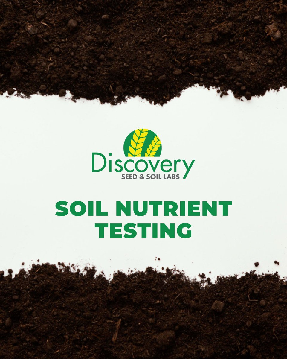 With soil nutrient testing, we assess the nutrient composition of your soil to give you clear, actionable insights. This helps you make informed decisions that support crop health and maximize yield potential.

👉 For more information, stop by our Saskatoon office at 450 Melville