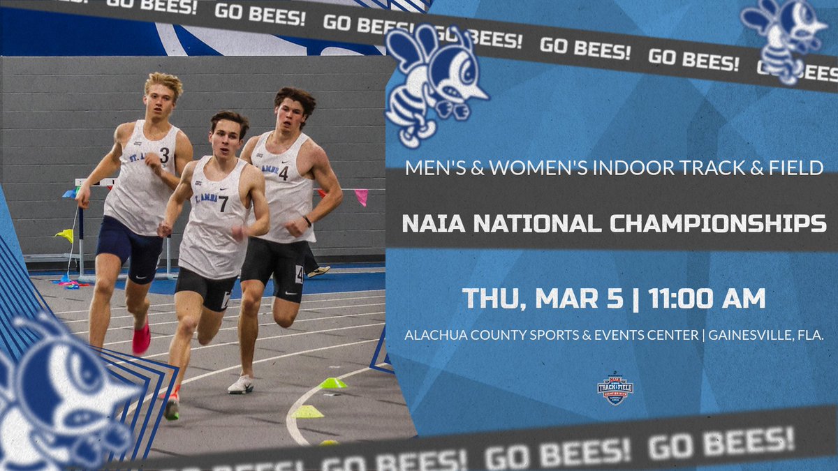 Fighting Bees Athletics tweet media