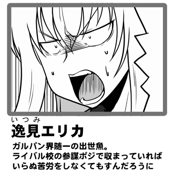 田丸風選り抜き逸エリ 