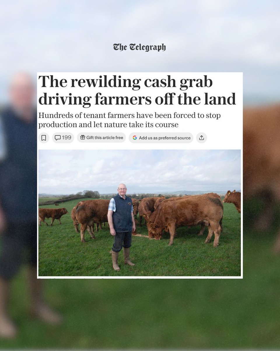 The right headline for this story is this; ‘The farming cash grab that drove wildlife off the land’.  

We’ve taken 75% of our land area for farming, taken it from nature. Re wilding farmland starts to correct this. 

Grazing cattle is an environment disaster, not just for