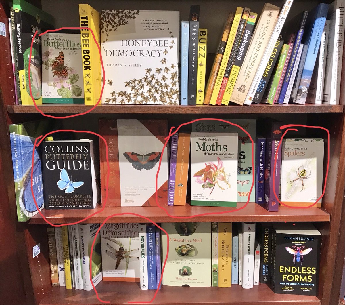 Richard Lewington tweet media