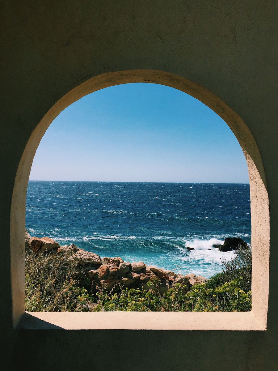 ocean tweet media