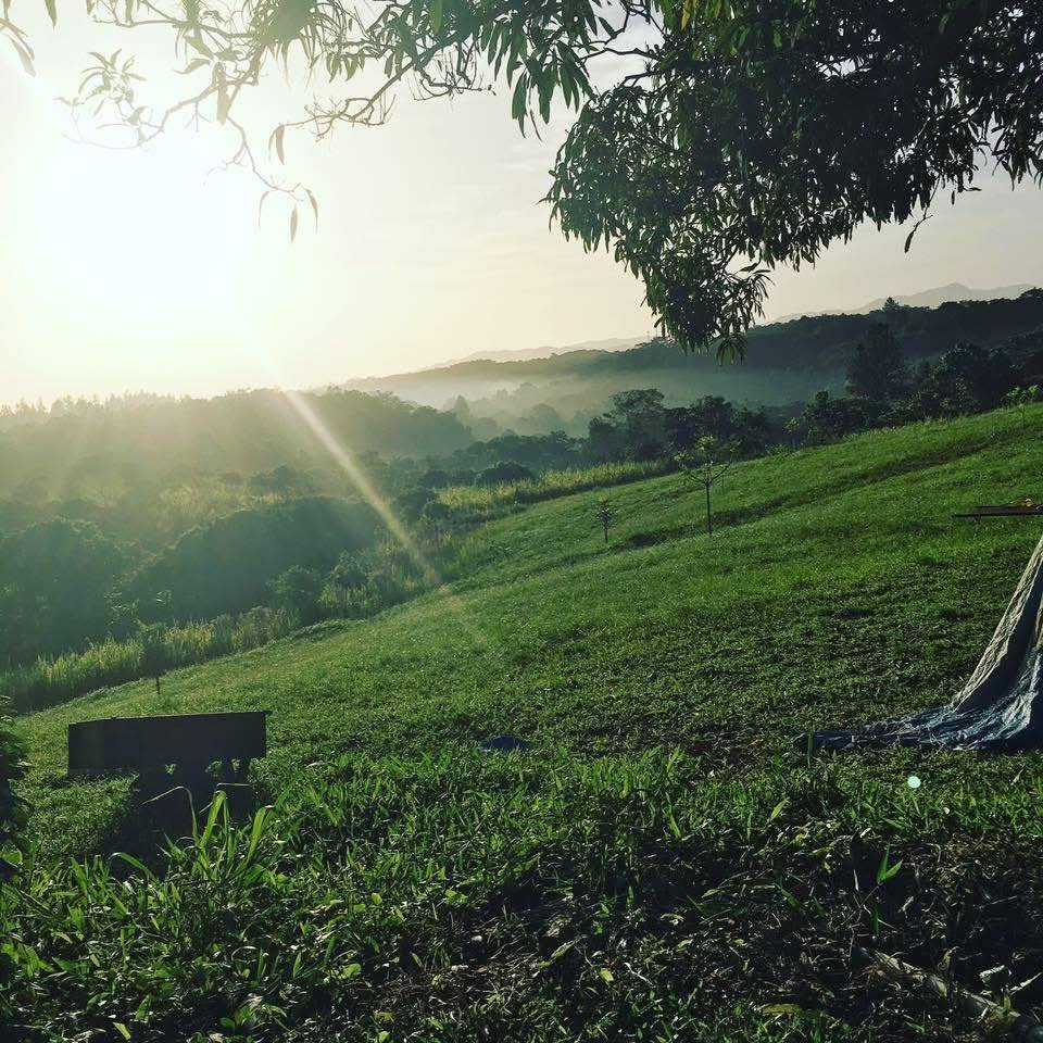 Scorpius eSports tweet media