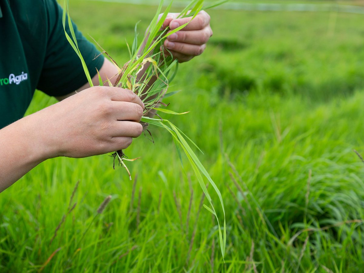 ProAgria tweet media