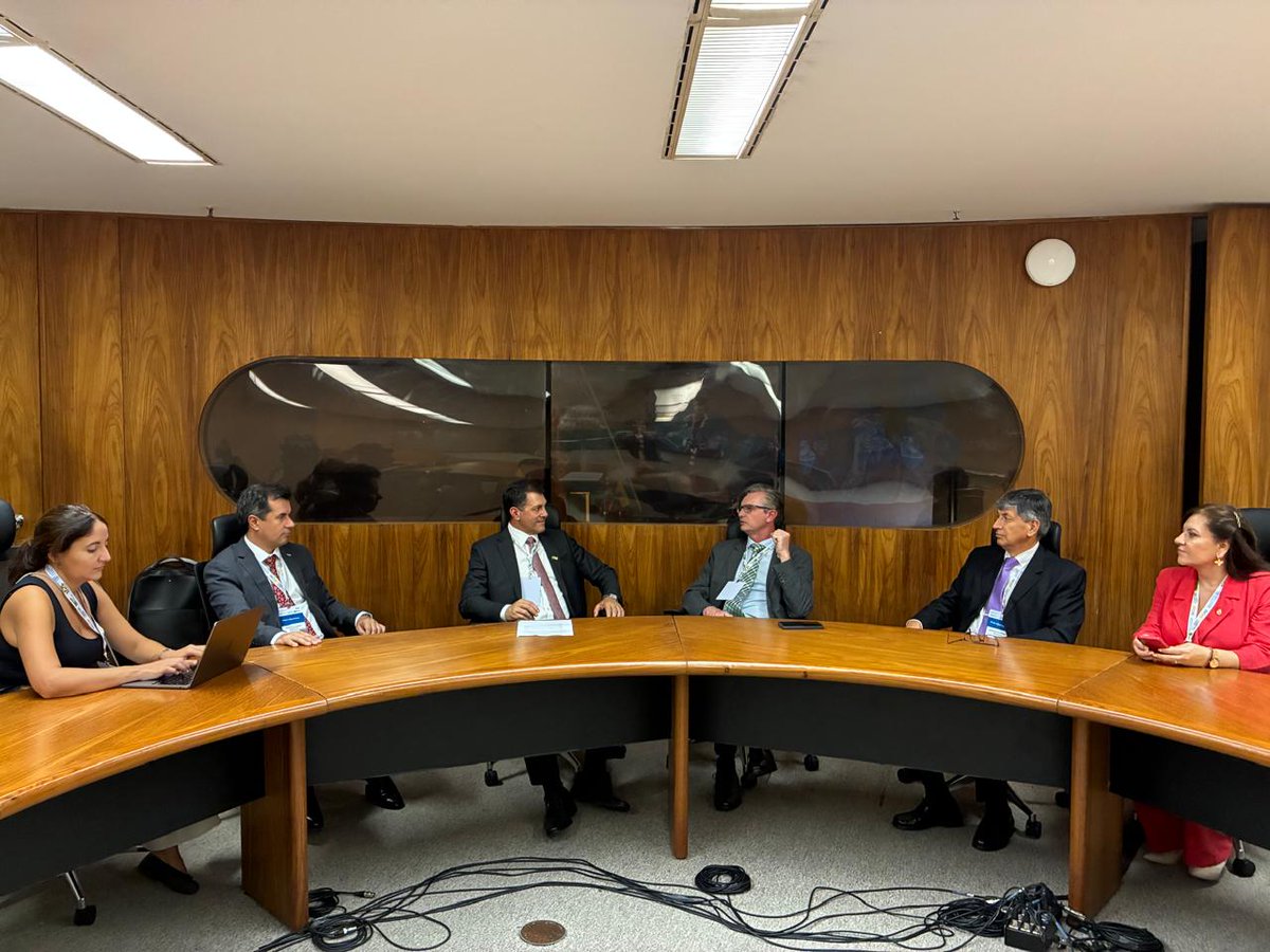 Viceministerio de Ganadería Paraguay tweet media