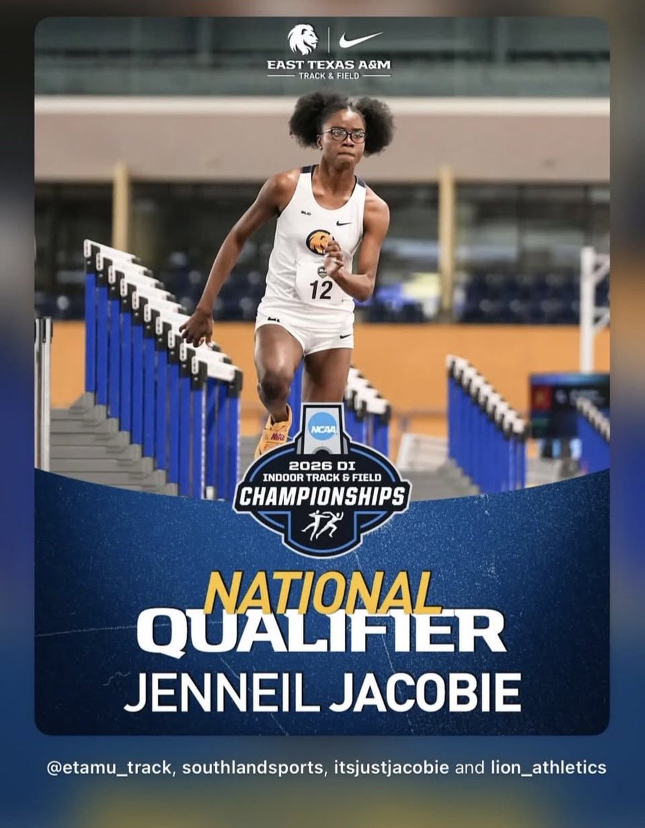 Rock Light tweet media