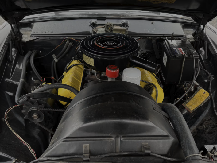 Mecum Auctions tweet media