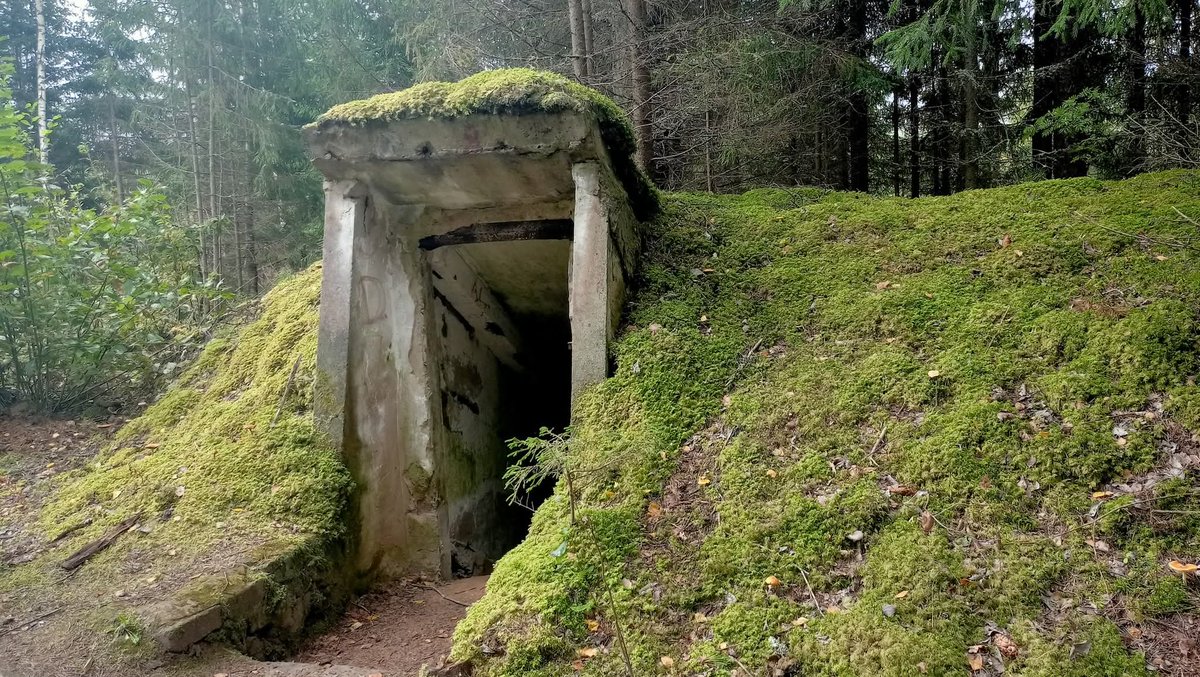 pavelsh 🇱🇻 tweet media