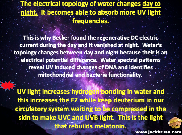 ☣️ Pleb Kruse = BTC foundationalist in exile 🟩🔆 tweet media