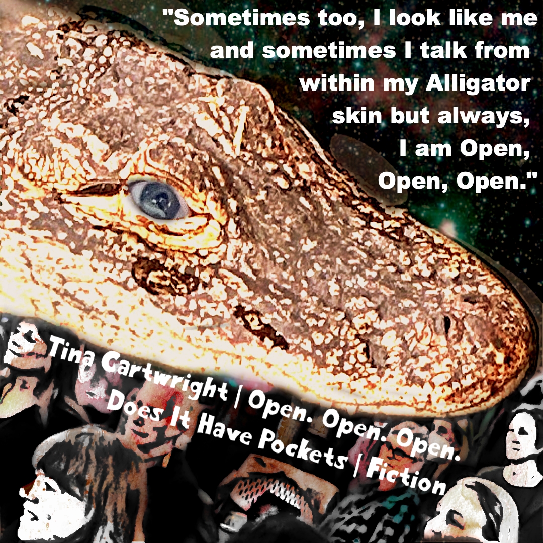 Does It Have Pockets tweet media