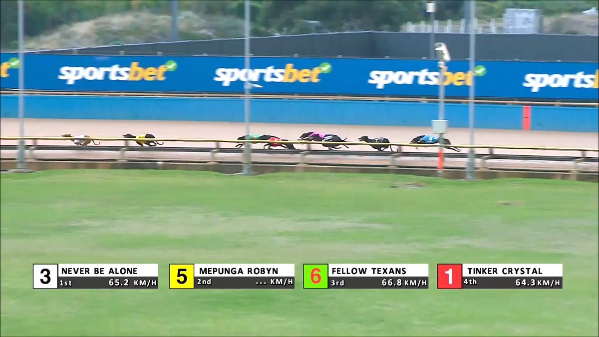 CagesFree's tweet image. #FamilyFun dog #abuse at The Meadows (2024)
It’s also all about Sportsbet as the official wagering partner ❌🫰
There were 300 free showbags for the kids
We doubt the showbags told the children what happens to their favourite friends
greyhoundcoalition.com/family-fun-dog…