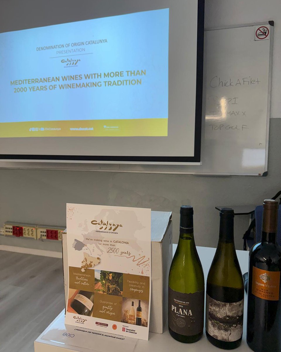 DO Catalunya tweet media