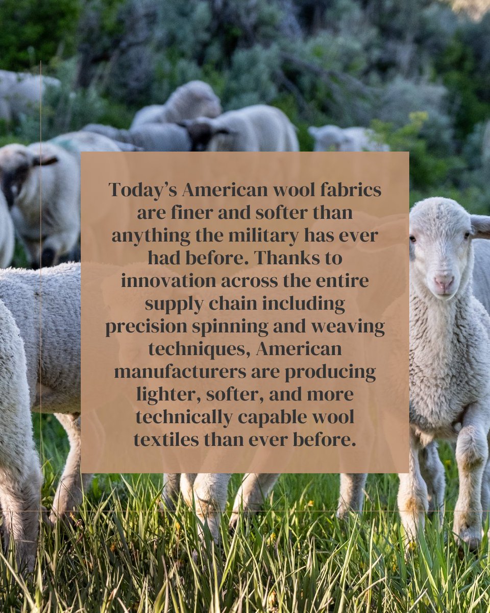 Experience Wool tweet media