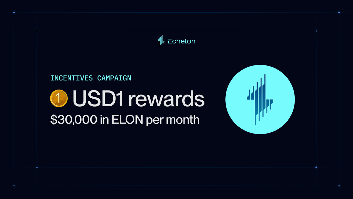 𝖀𝖈𝖆𝖓 tweet media