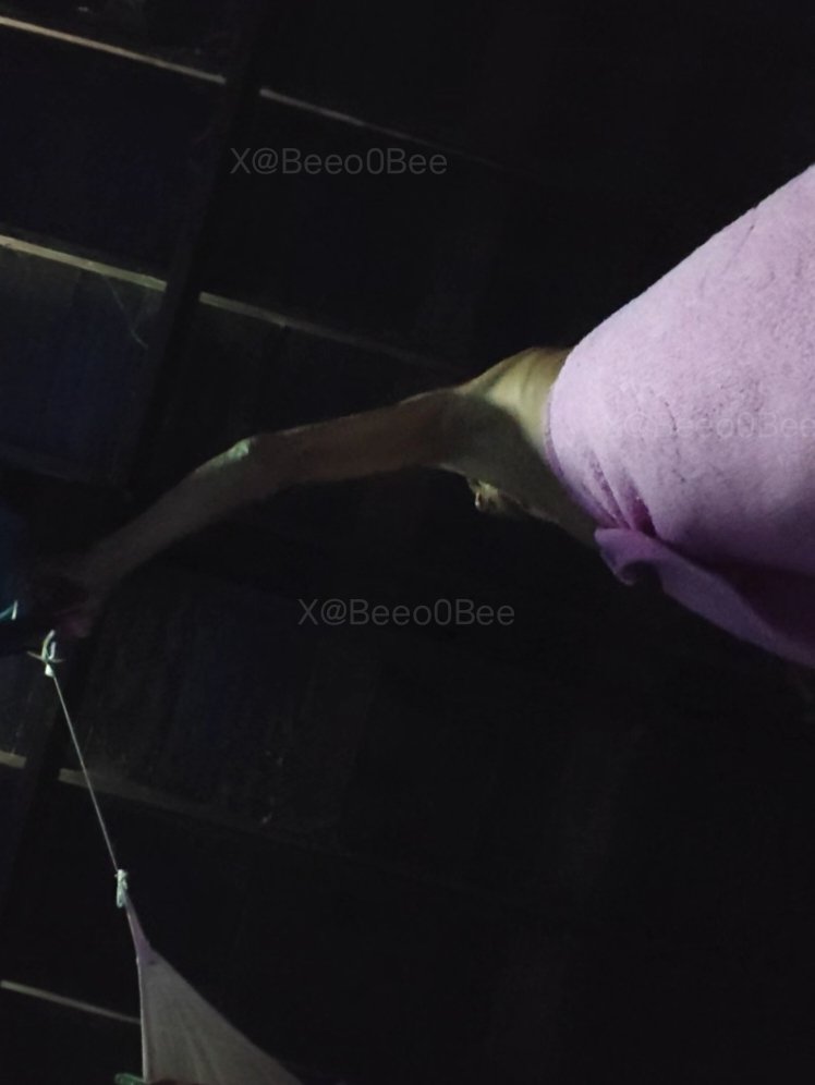 Bee and Real Daddy56 🇹🇭 tweet media