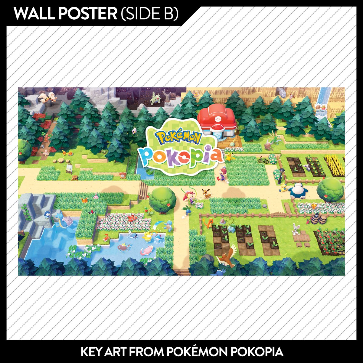 Nintendo Force Magazine tweet media