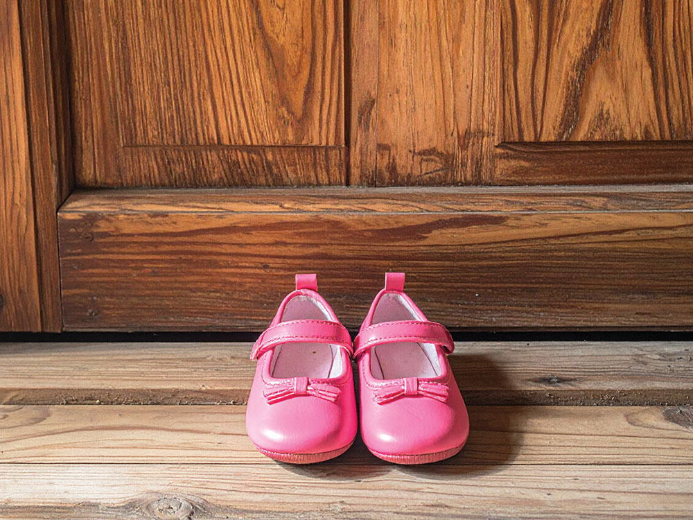 Bay Windows tweet media