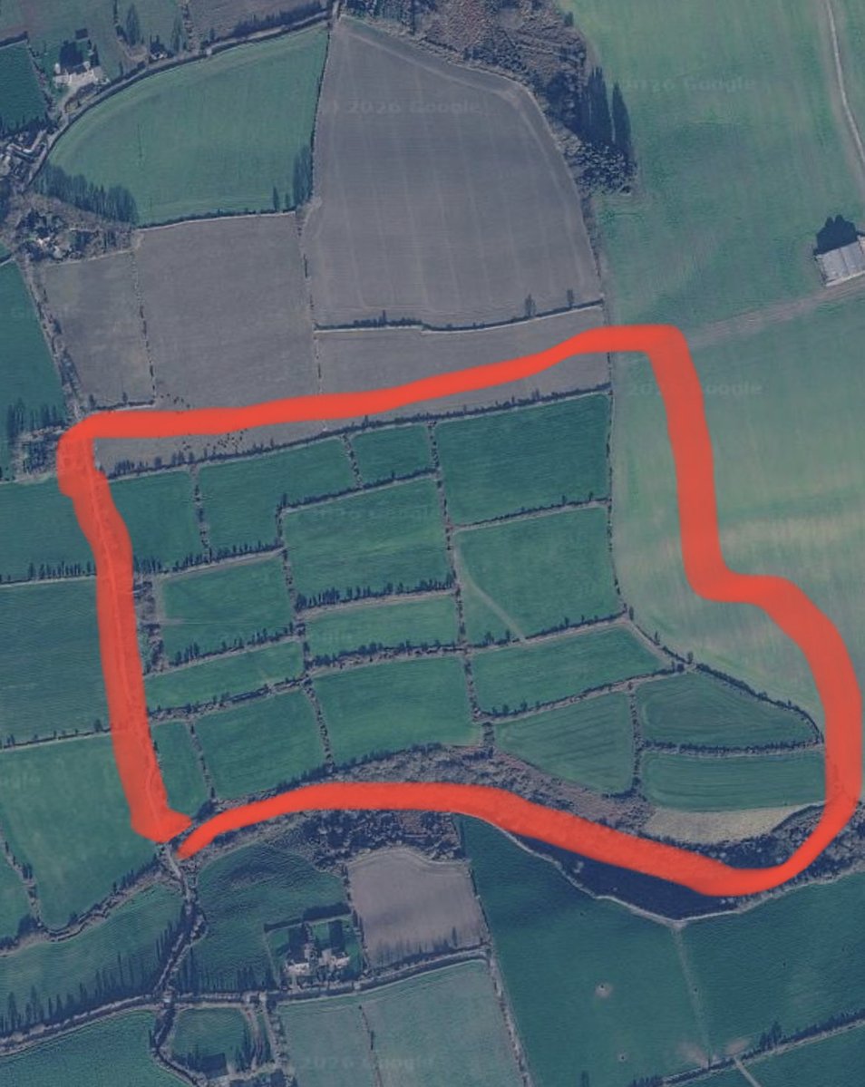 Dara Fitzpatrick tweet media