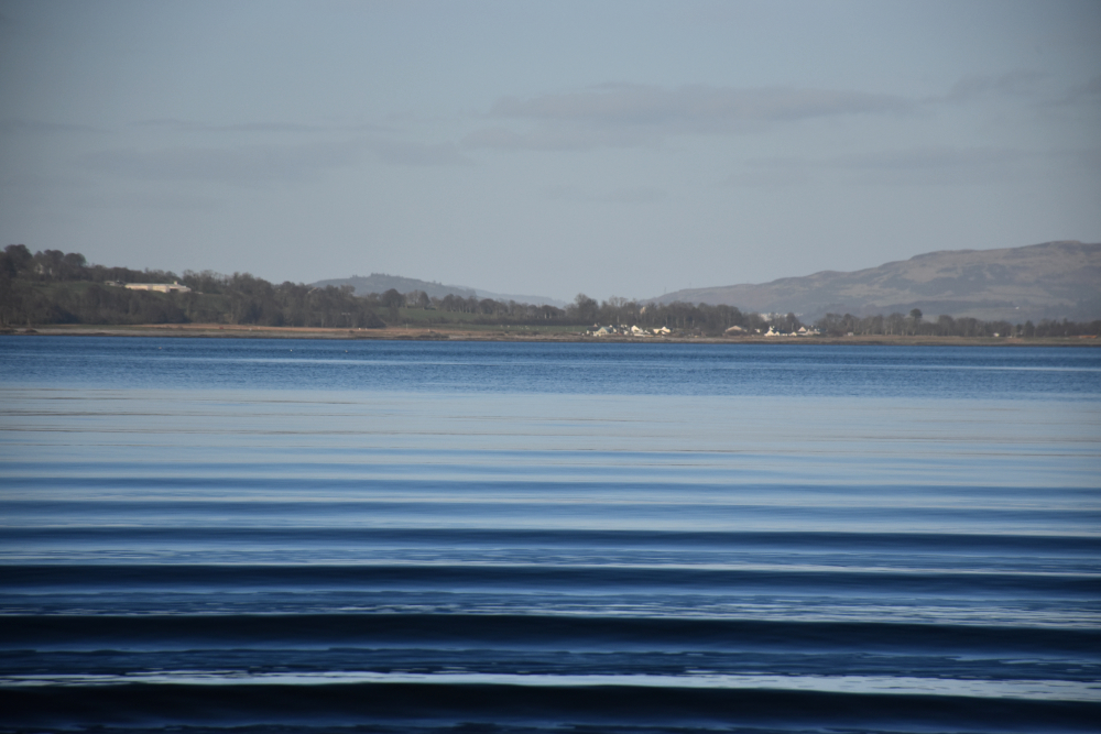 Jack Montgomery Writer tweet media