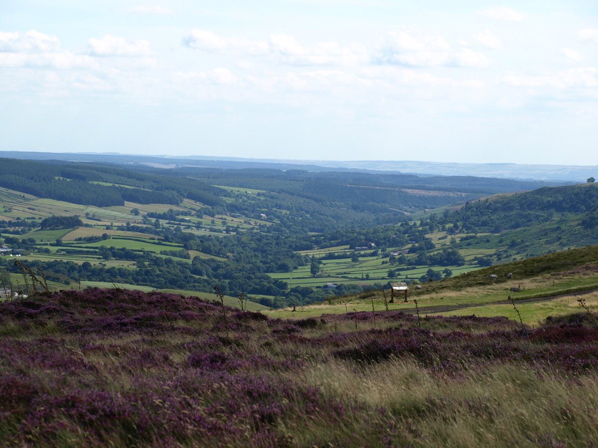 Simon Tasker tweet media