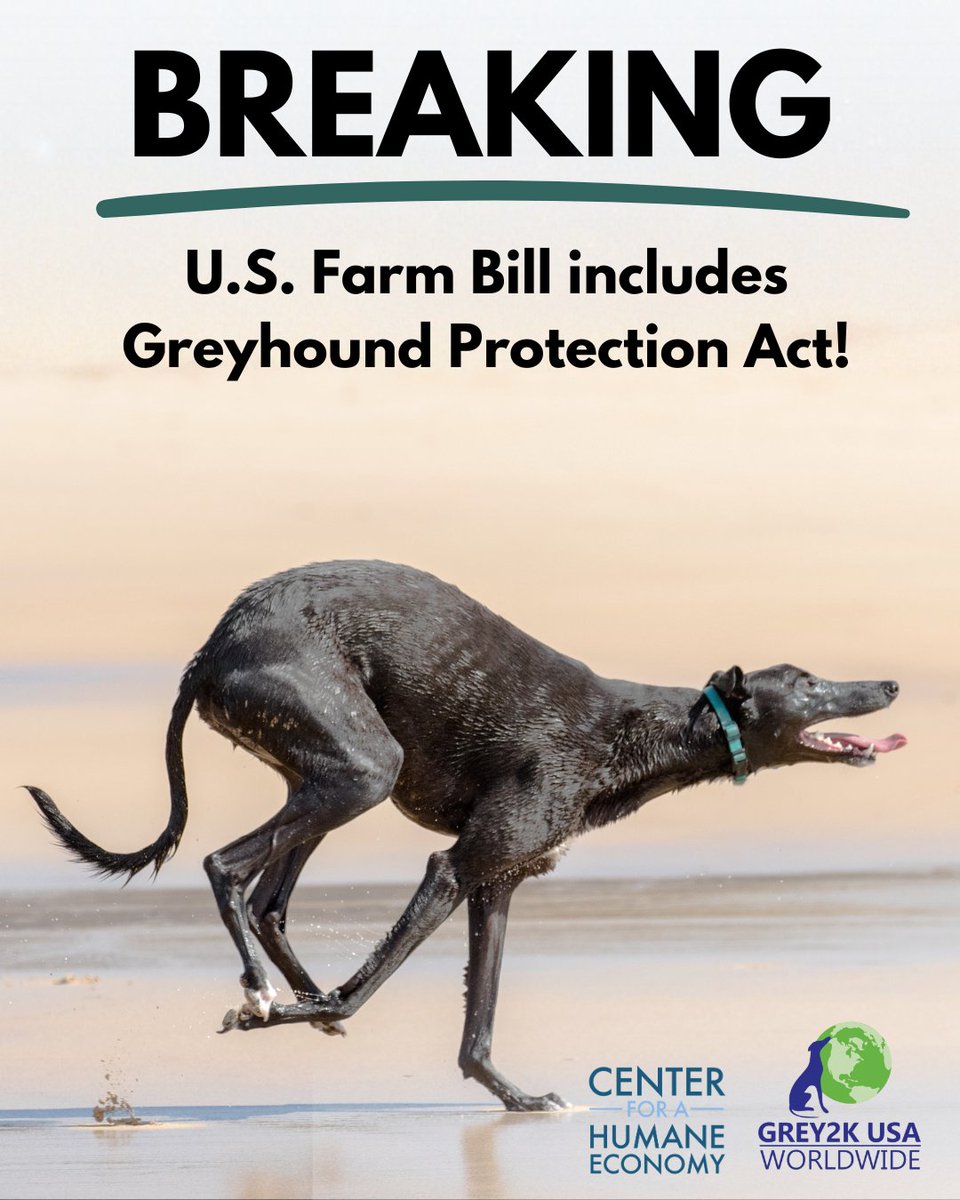 Center for a Humane Economy tweet media