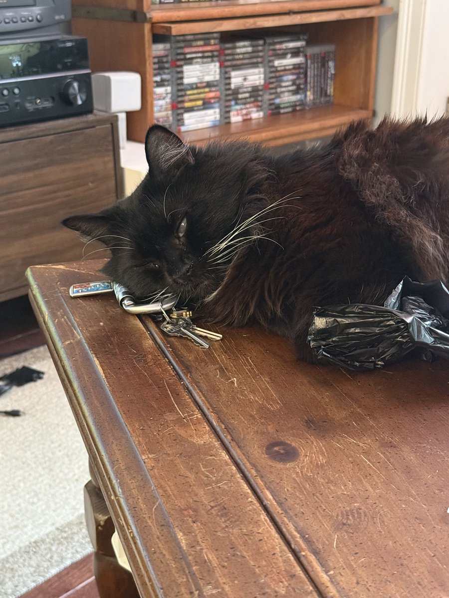 Eugene Hoodrich tweet media