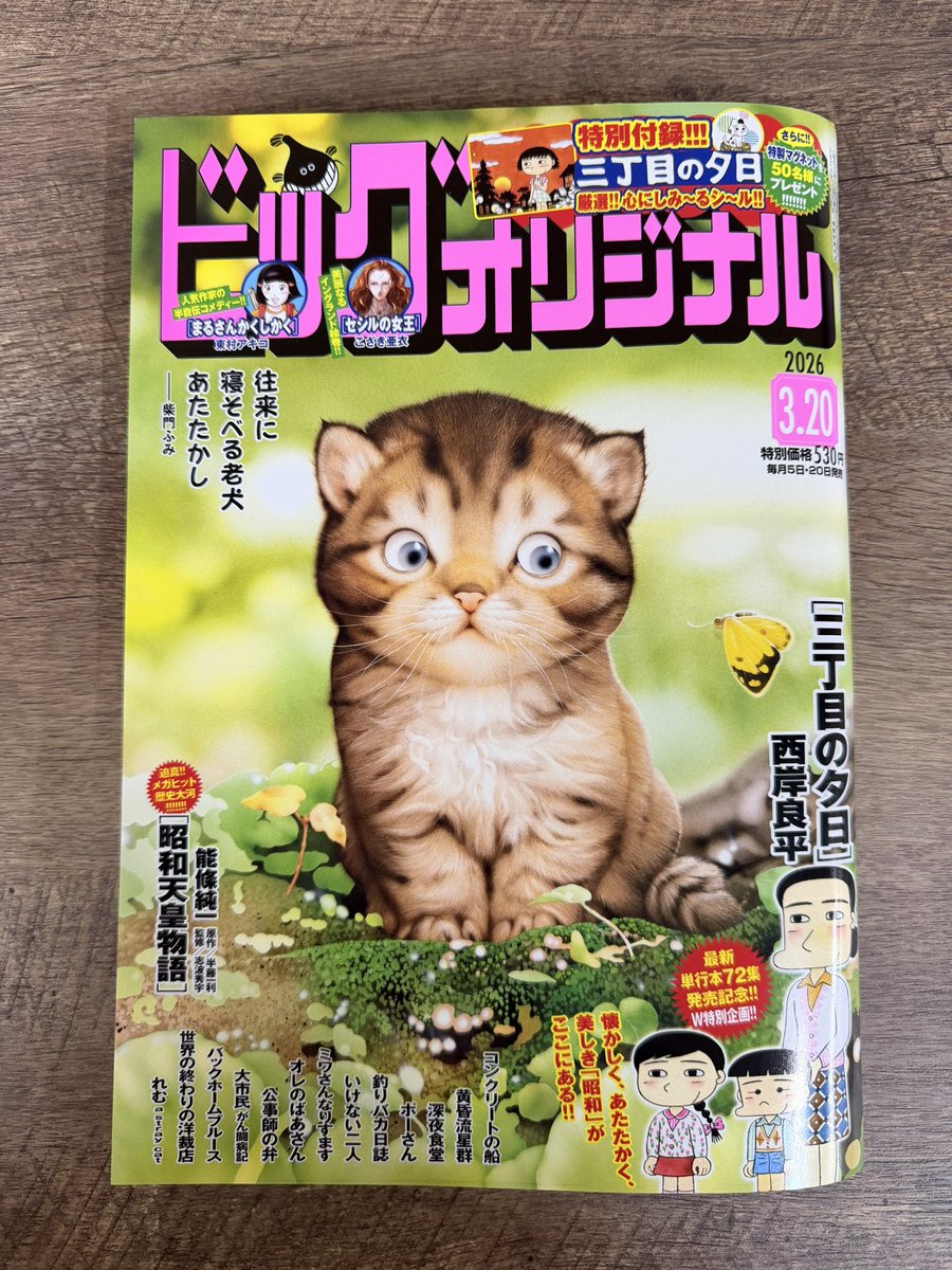 東村アキコ『まるさんかくしかく』公式(単行本5集、10/30発売!) tweet media