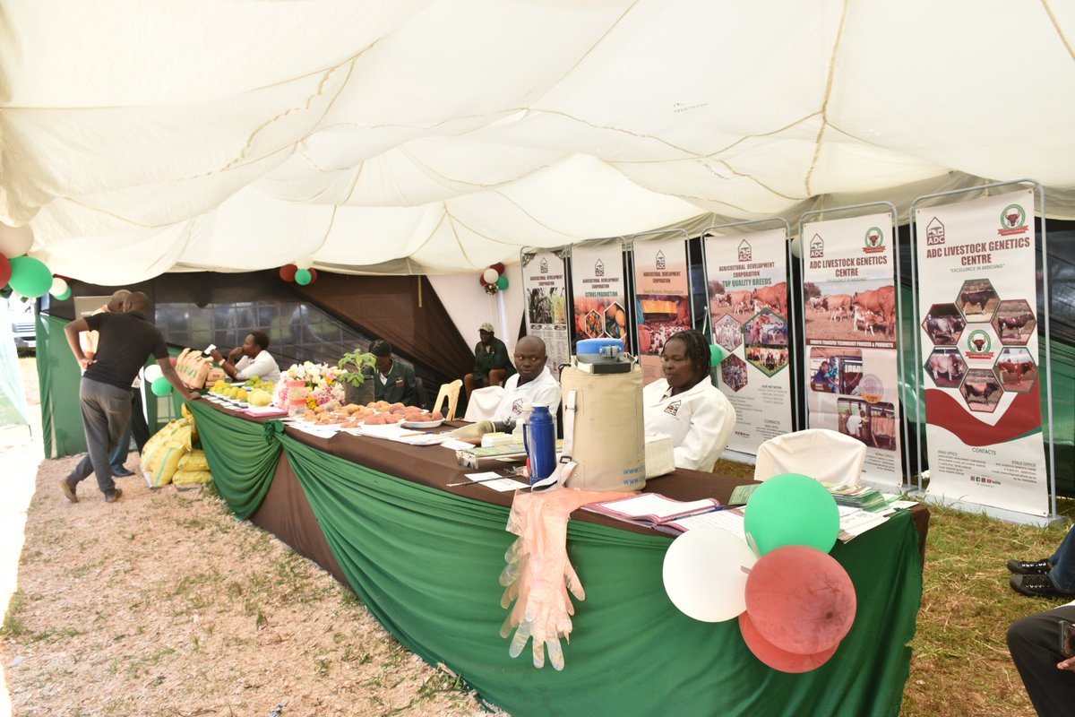 adckenya tweet media