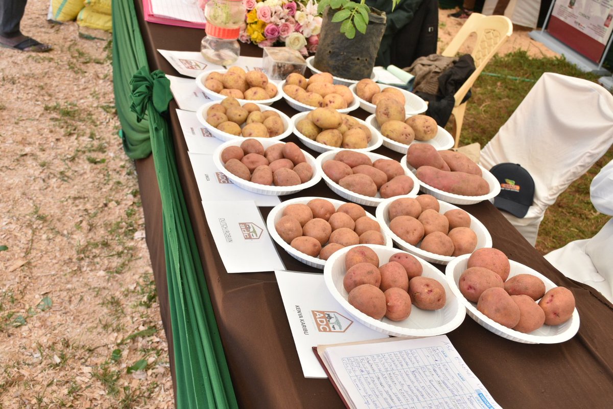 adckenya tweet media