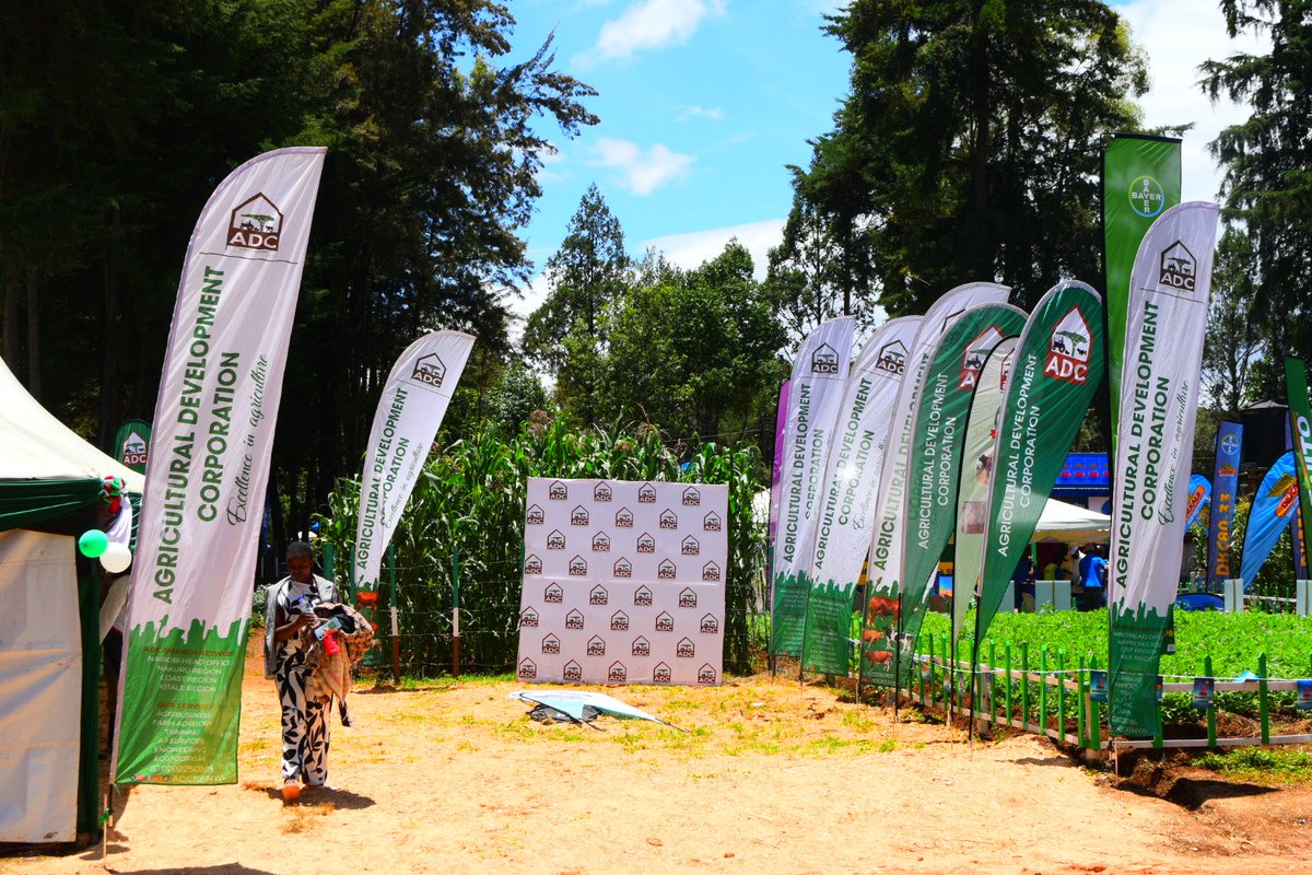 adckenya tweet media