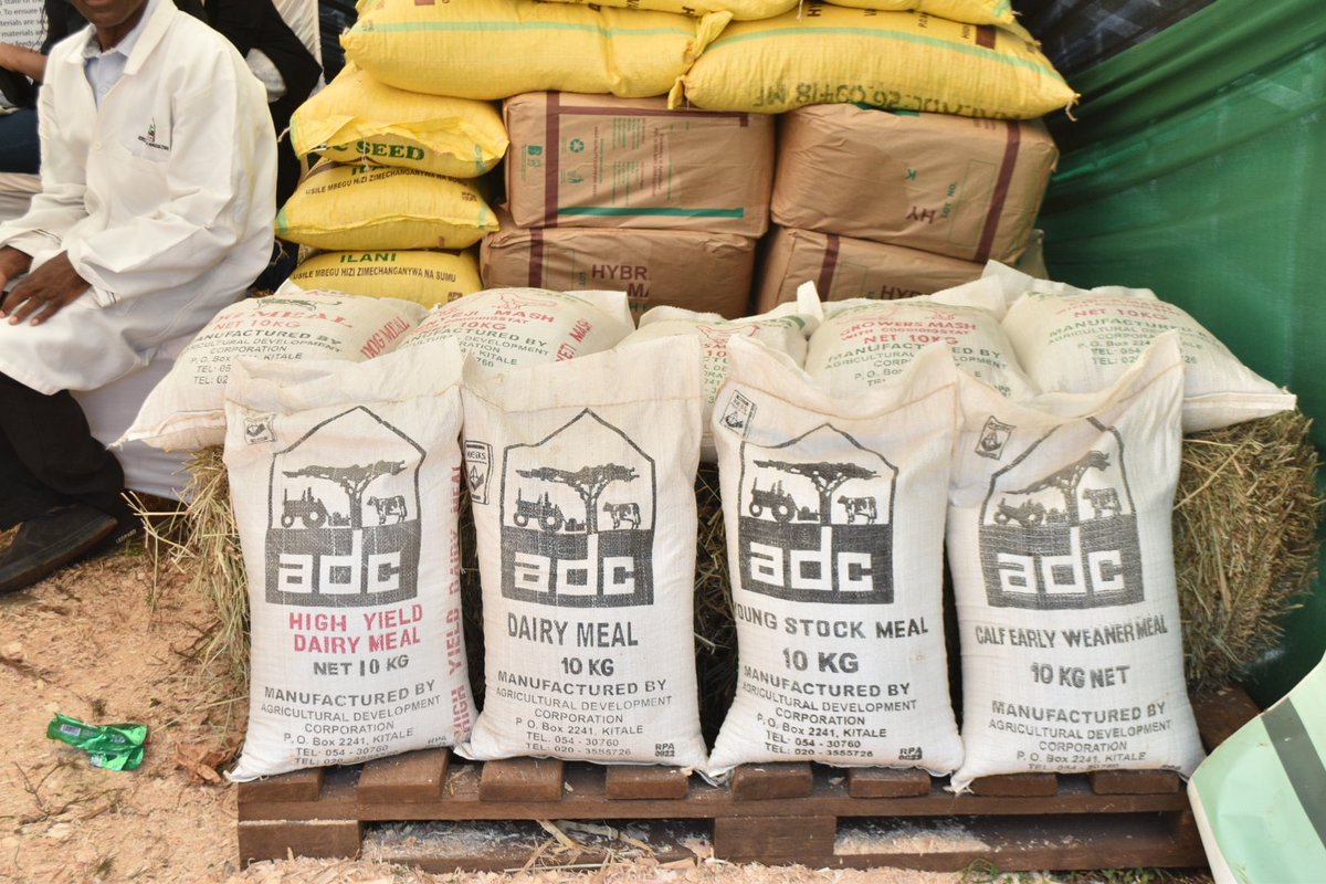 adckenya tweet media