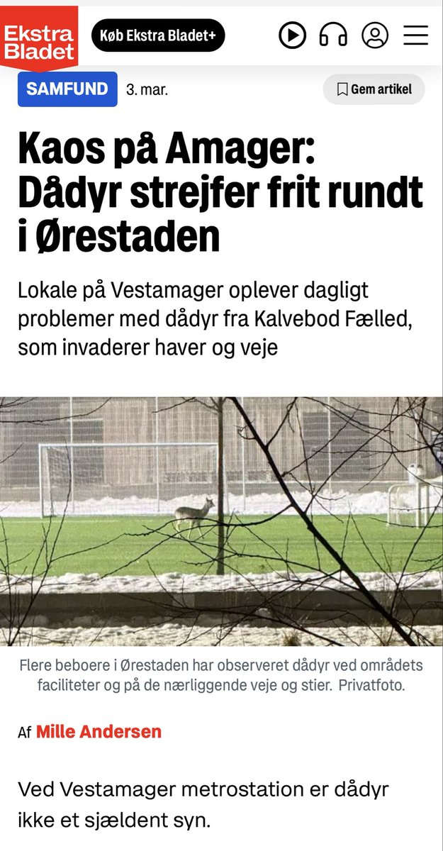 Torben Quitzau tweet media