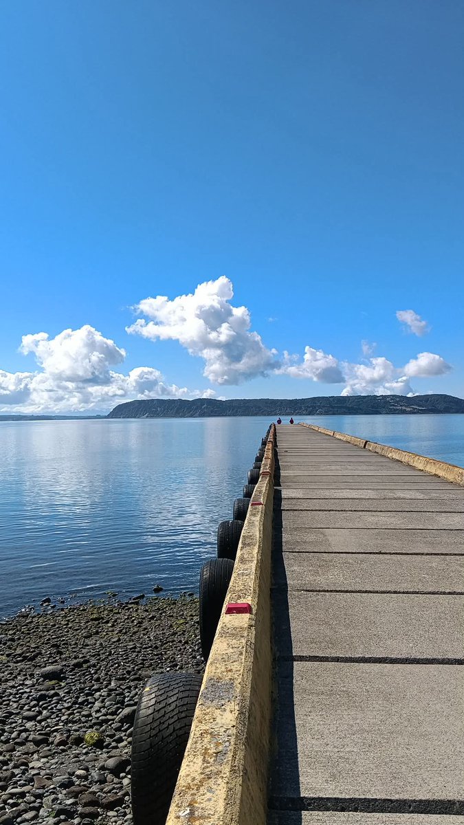 Chiloé Transparente tweet media