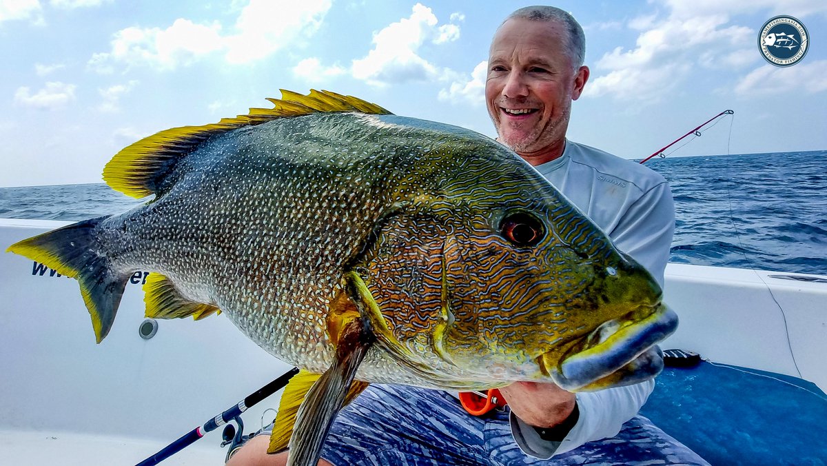 GamefishingAsia's tweet photo. Most anglers fish their whole life and never see this face. Those markings aren't a filter. That's what lives on the deep reefs of the #Andaman Sea.
The ocean is still full of things that will stop you cold. This is one of them.
Serious anglers only name this species 👇
#fishing https://t.co/6DmKJ3LTdH