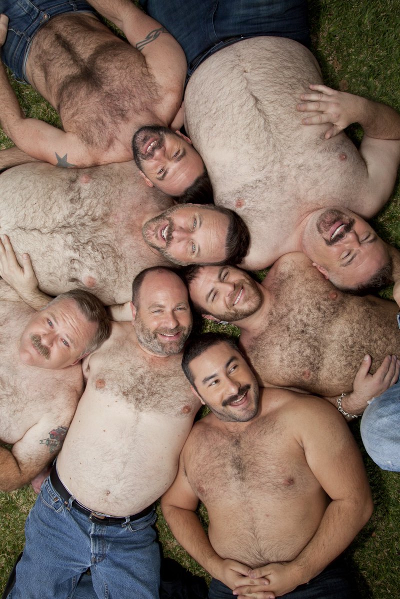 Where The Bears Are tweet media