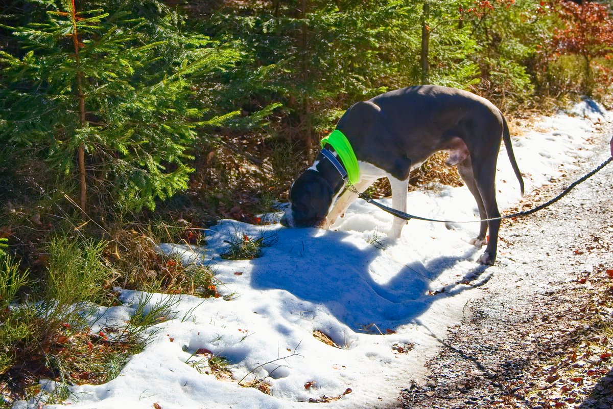 NA severu jsou stále otevřeny zmrzlinové stánky