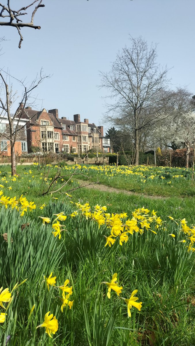 FircroftPlantry's tweet photo. What an absolutely gorgeous day, perfect for being out in our beautiful gardens 🥰 https://t.co/CF6Z2ava6Q