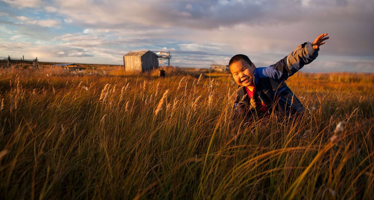 Arctic IT tweet media