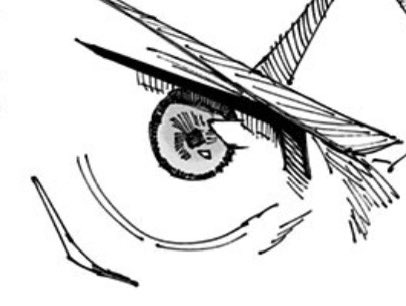 虎杖悠仁【非公式】 tweet media