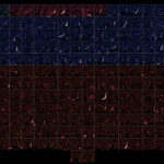 MIT Physics tweet media