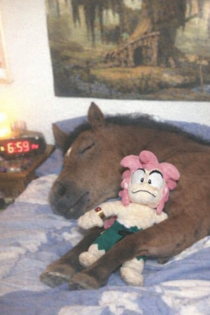 Tomba Club tweet media