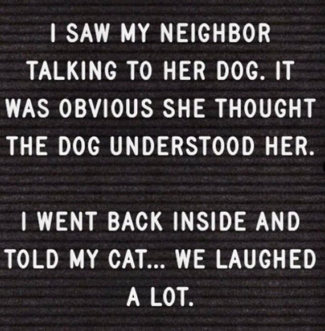 _ooAstoo_'s tweet photo. I trust my cat with all the gossip.
He never repeats it… just judges. 😹 https://t.co/fNXxVkjMNW