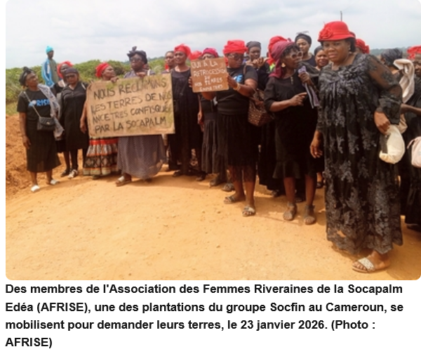 World Rainforest Movement (WRM) tweet media