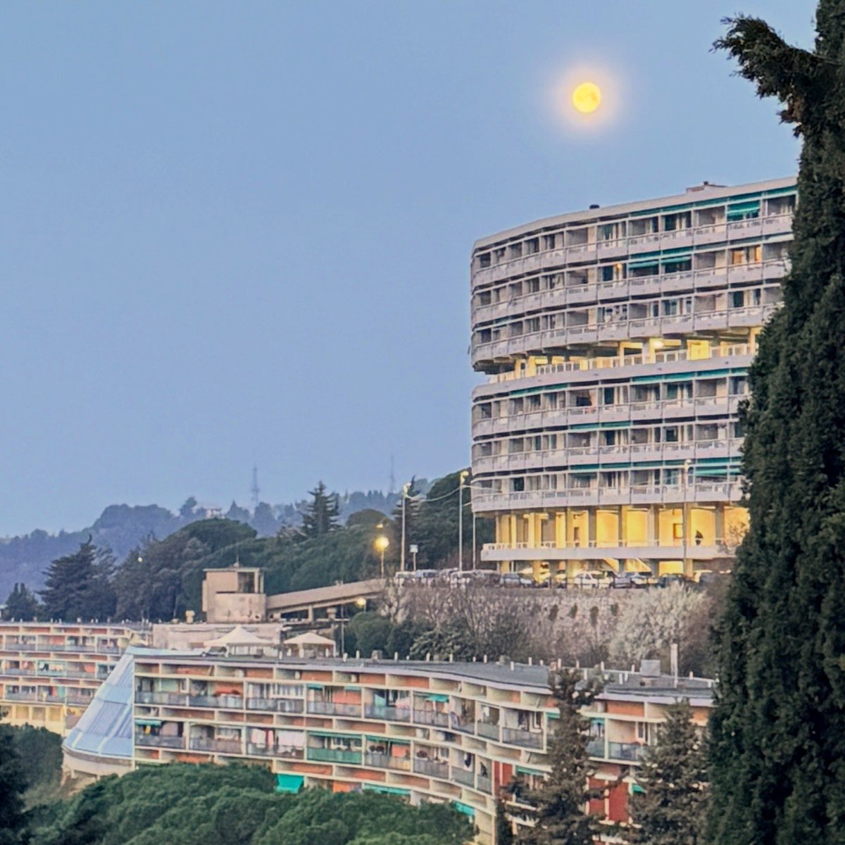 𝓻𝓮𝓪𝓵𝓭𝓪𝓷𝓷𝓷𝓪𝓵𝓮𝓼𝓼𝓪𝓷𝓭𝓻𝓸🐬 tweet media