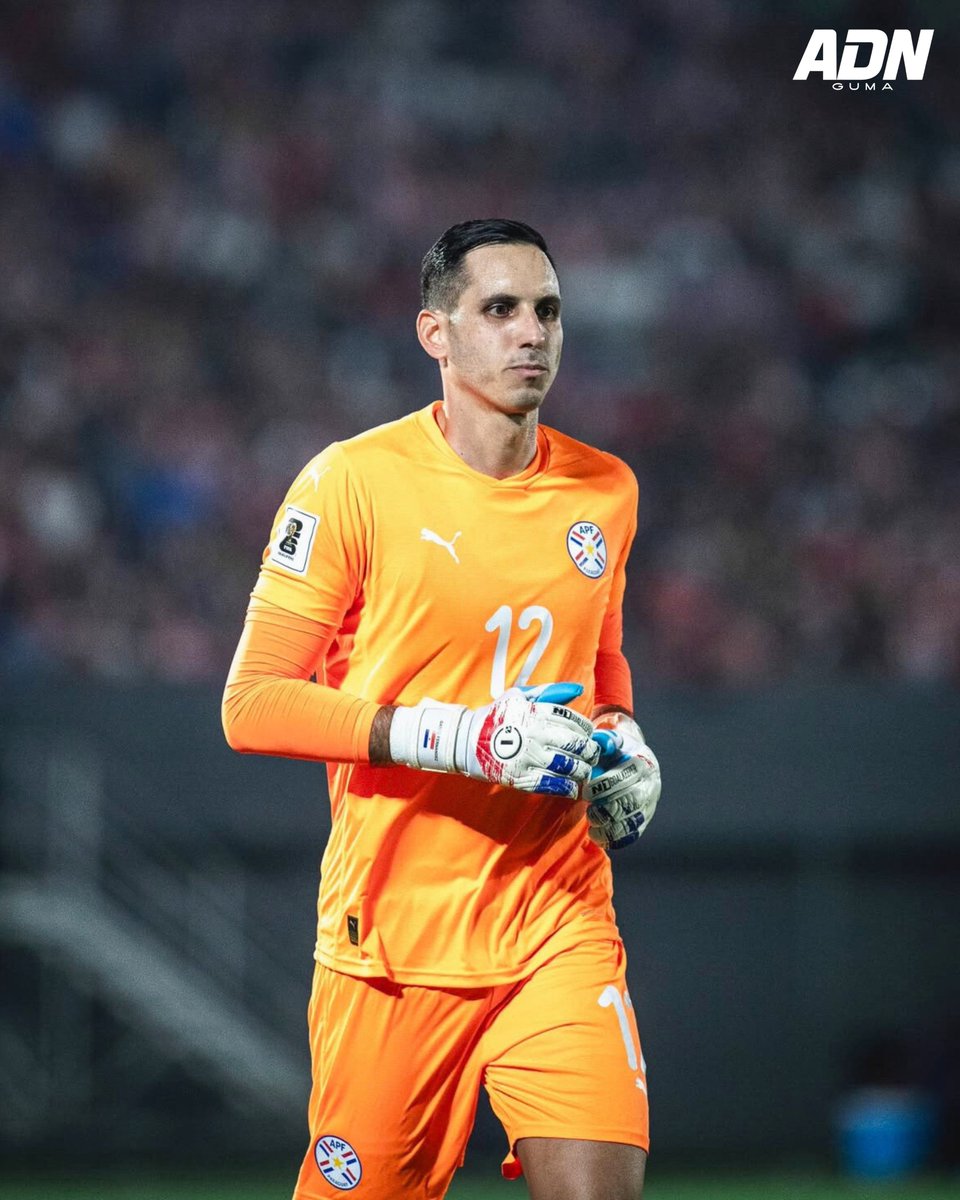 ADNguma's tweet photo. Por lo hecho en las Eliminatorias, Gatito Fernández tiene 𝗔𝗦𝗘𝗚𝗨𝗥𝗔𝗗𝗢 𝗦𝗨 𝗟𝗨𝗚𝗔𝗥 en la Copa del Mundo 2026. Será uno de los tres arqueros de la Albirroja en el certamen.

Orlando Gill, por su regularidad en San Lorenzo, es otro que está muy cerca de confirmar su puesto.

Y ahí se le abre una oportunidad a Gastón Olveira, que se ganó la convocatoria, pero deberá ingresar bien al grupo y mantenerse.

👏🏻🇵🇾 Vía: @ABCDeportes
