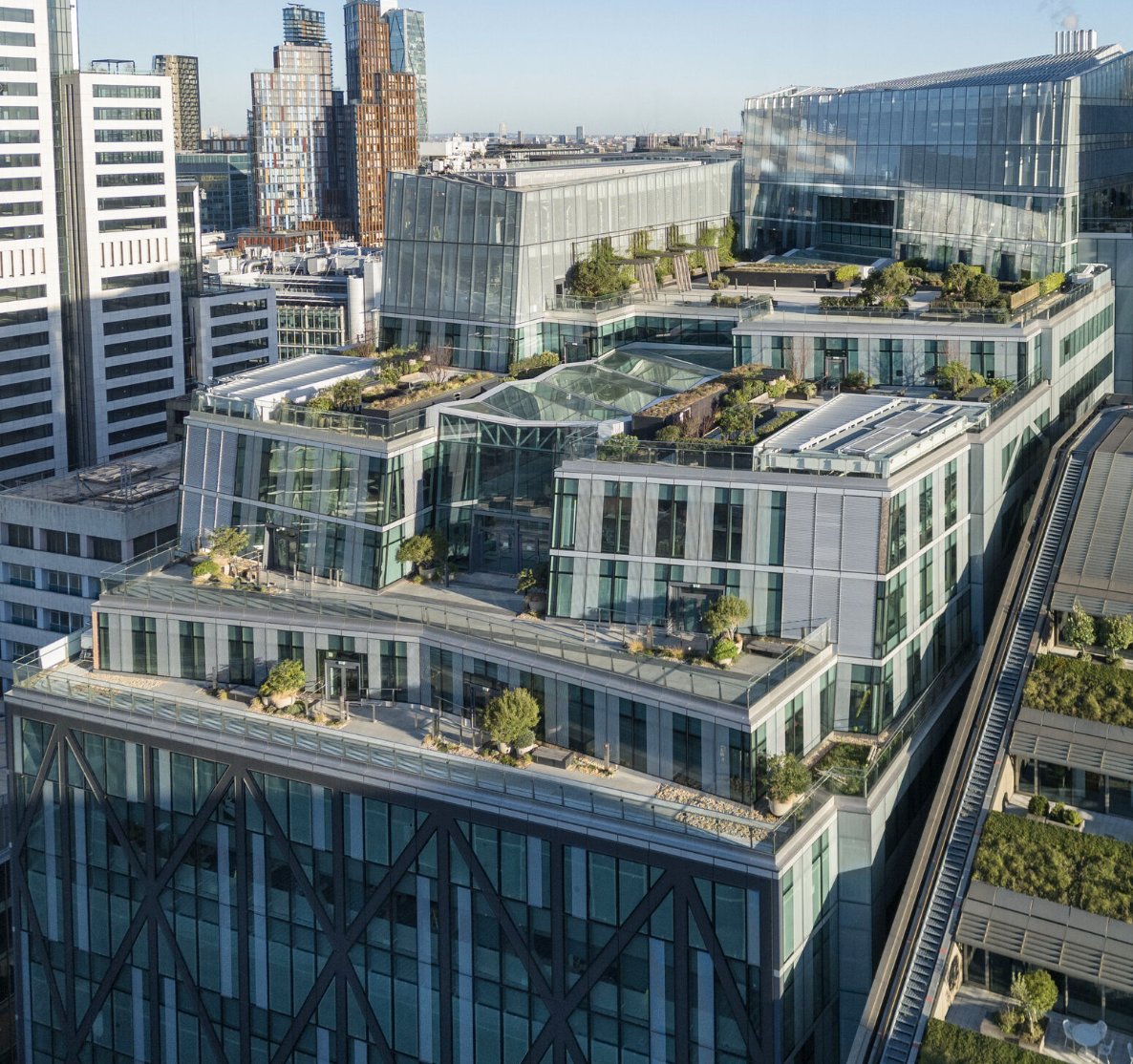 TenderStream tweet media